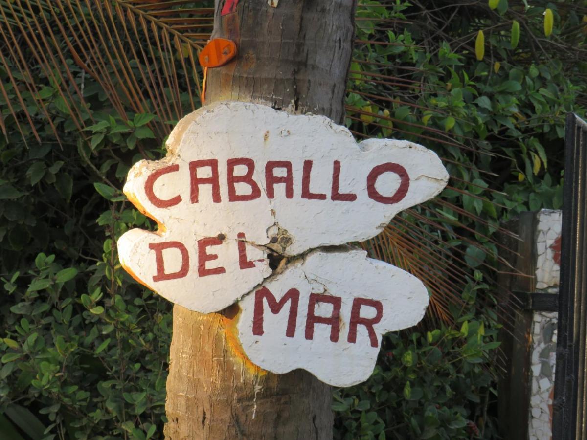 Cabina Caballo del Mar Parrita Exterior foto